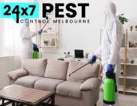 247 Wasp Removal Melbourne image 8